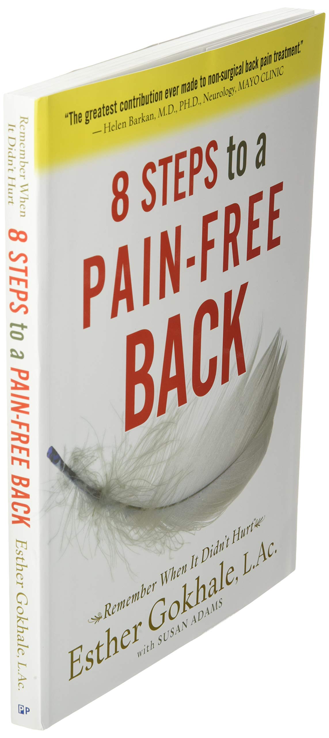 8 Steps to a Pain-Free Back by Esther Gokhale