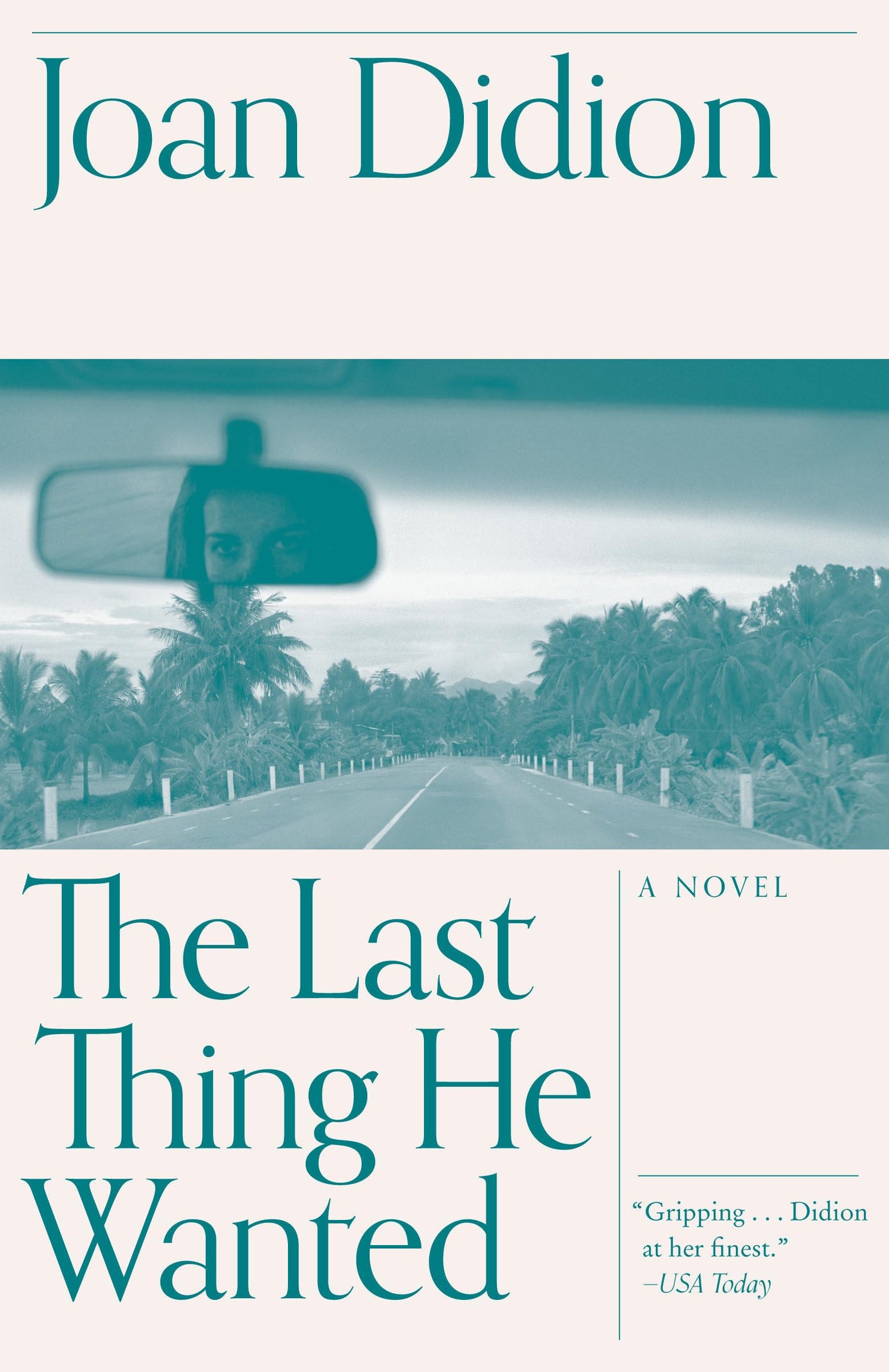 The Last Thing He Wanted (Vintage International)