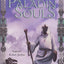 Paladin of Souls