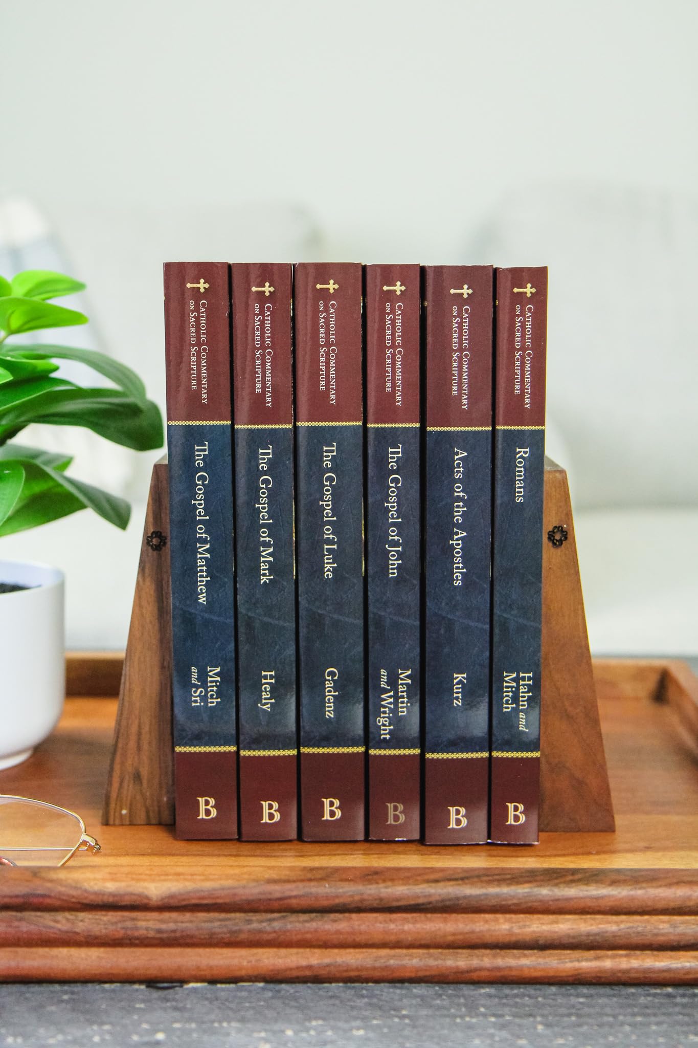 The Gospel of John: A Catholic Bible Commentary on the New Testament by Trusted Biblical Scholars  CCSS (Catholic Commentary on Sacred Scripture)