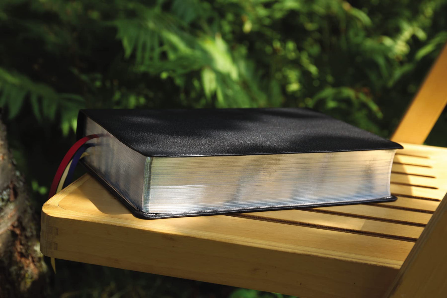 NIV, Life Application Study Bible, Third Edition, Genuine Leather, Cowhide, Black, Art Gilded Edges, Red Letter