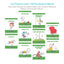 Spanish for Kids Set 2: Beginner Reader Box Set - 10 Early R