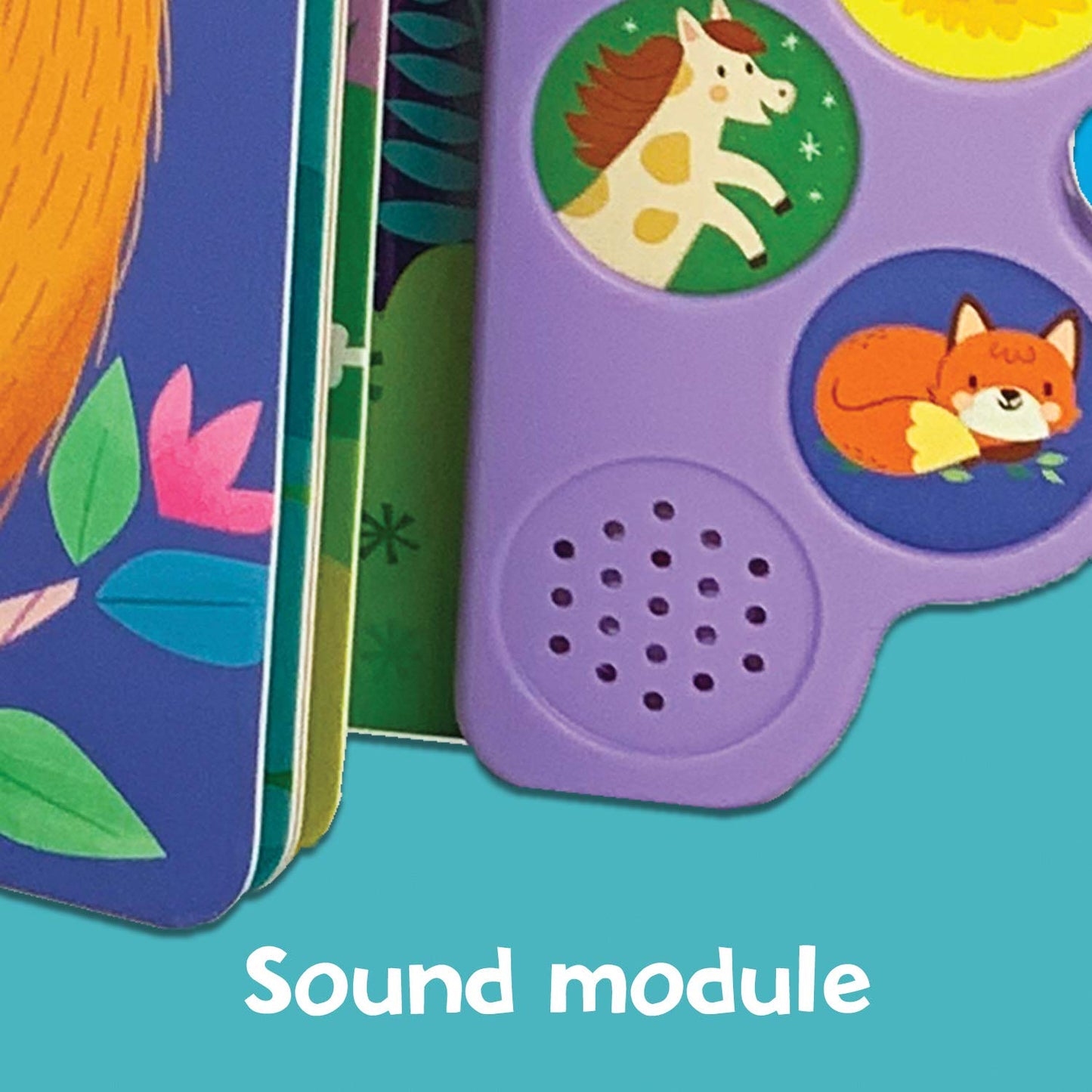 Baby's First Bedtime Songs (Interactive Children's Song Book