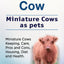 Miniature Cow. Miniature Cows as pets. Miniature Cows Keeping, Care, Pros and Cons, Housing, Diet and Health.