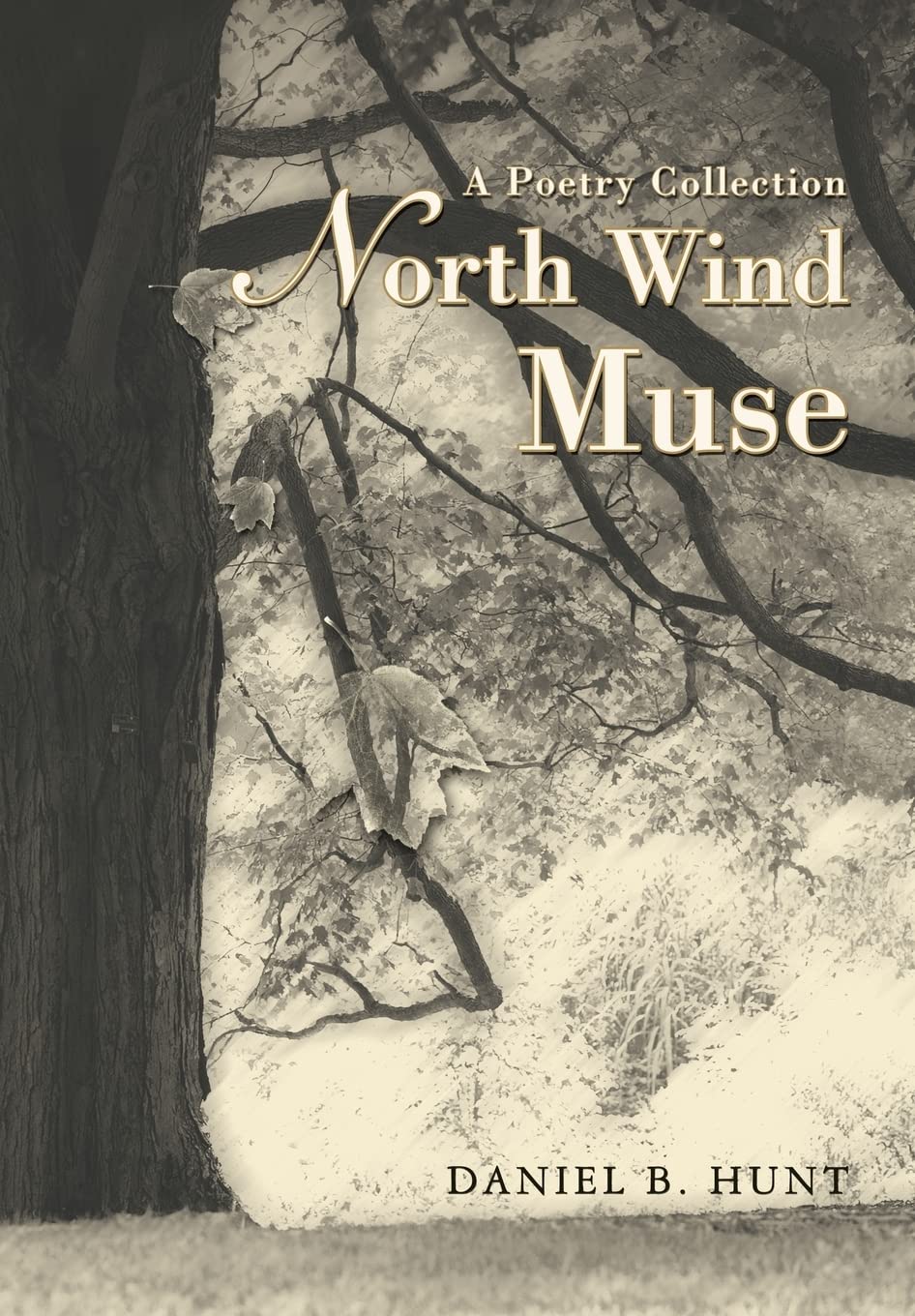 North Wind Muse: A Poetry Collection