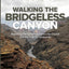 Walking the Bridgeless Canyon: Repairing the Breach between the Church and the LGBT community