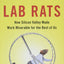 Lab Rats: How Silicon Valley Made Work Miserable for the Rest of Us
