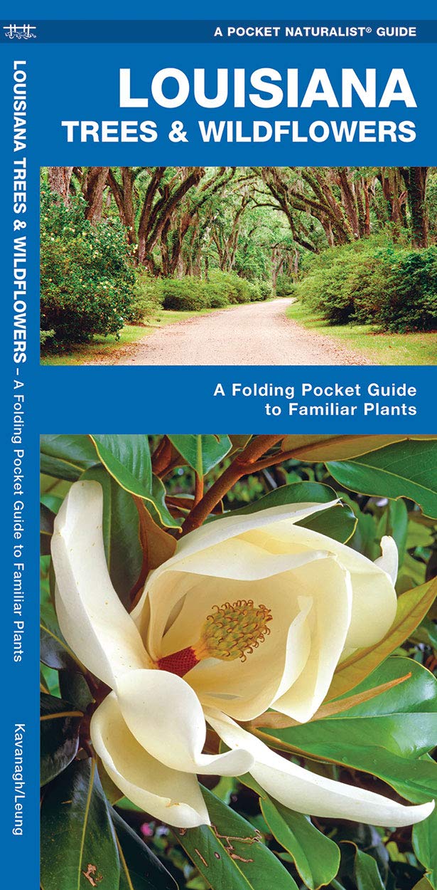 Louisiana Trees & Wildflowers: A Folding Pocket Guide to Familiar Plants (Wildlife and Nature Identification)