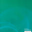 Pharmacology and the Nursing Process, 7e (Lilley, Pharmacology and the Nursing Process) - Standalone book