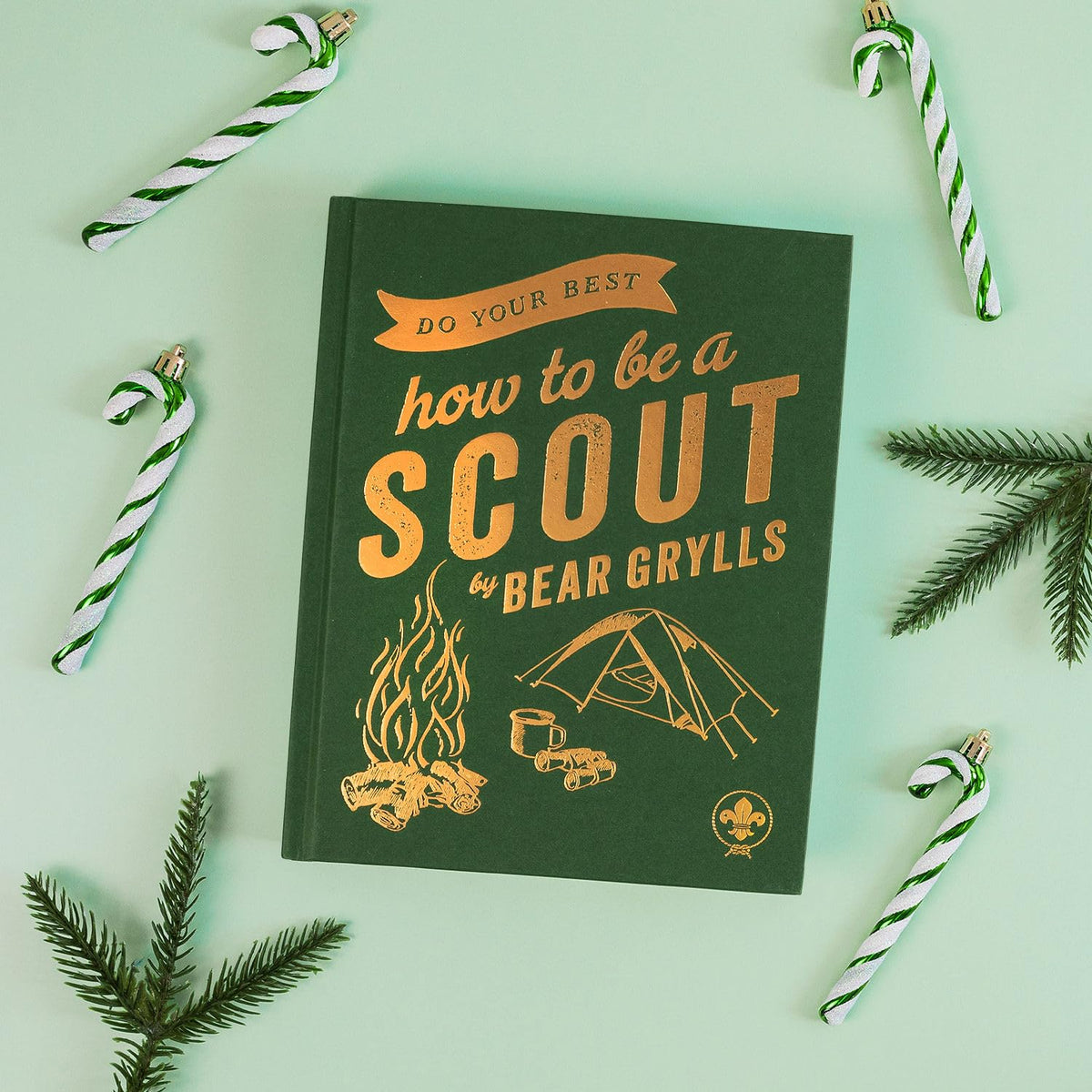 Do Your Best: How to be a Scout