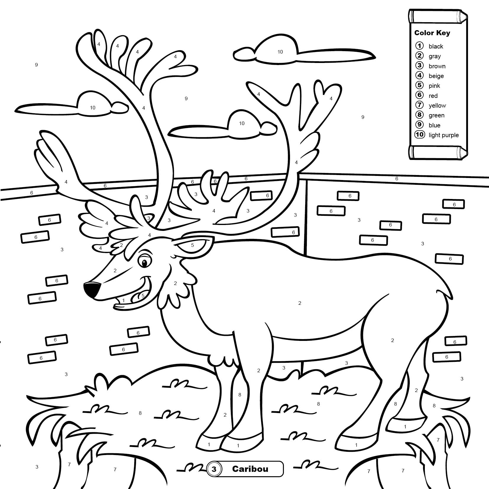 Color by Number: At the Zoo - Coloring Books for Kids 4-6 Years, Old Super Thick Pages, Tear-Out for Display