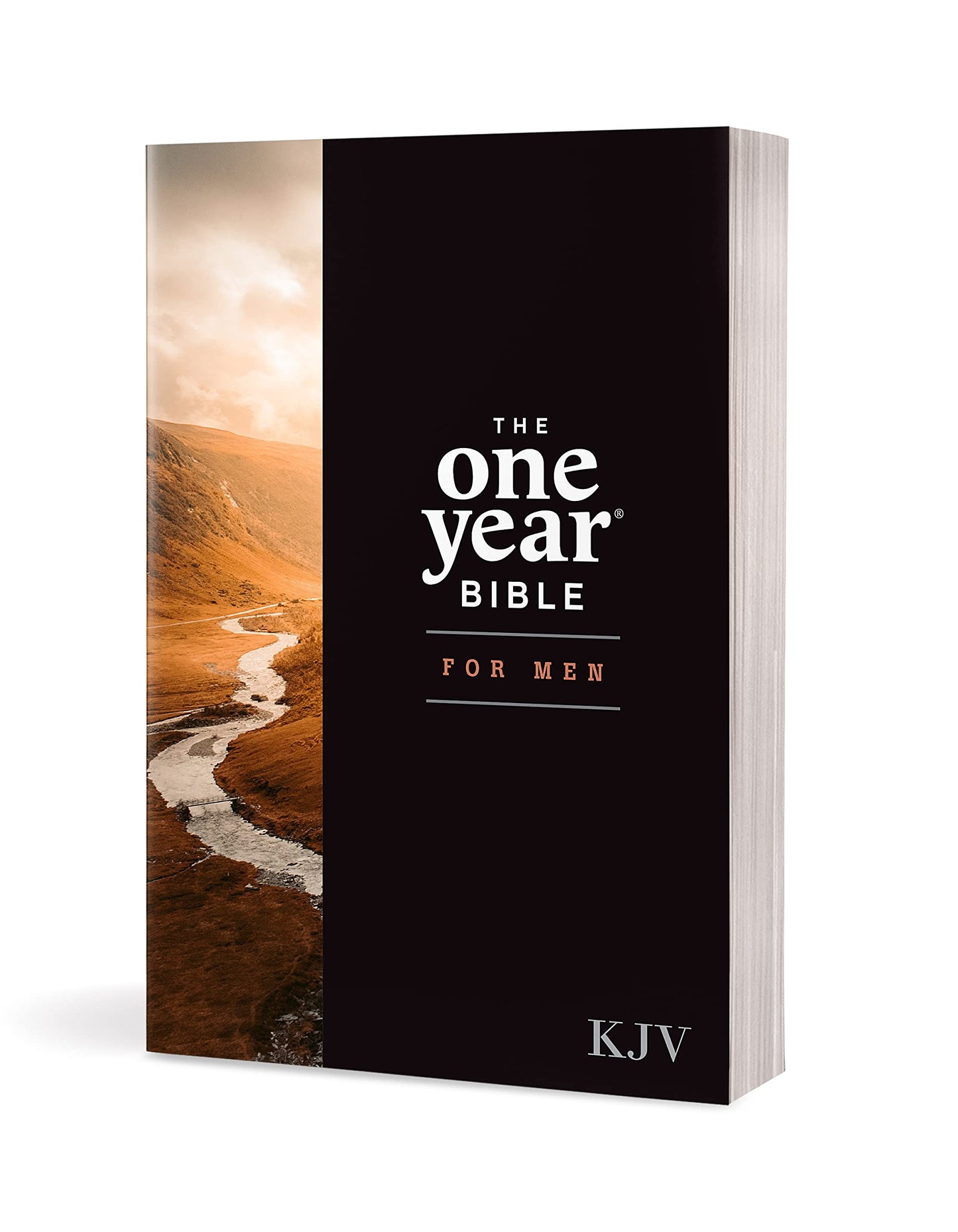 The One Year Bible for Men, KJV (Softcover)