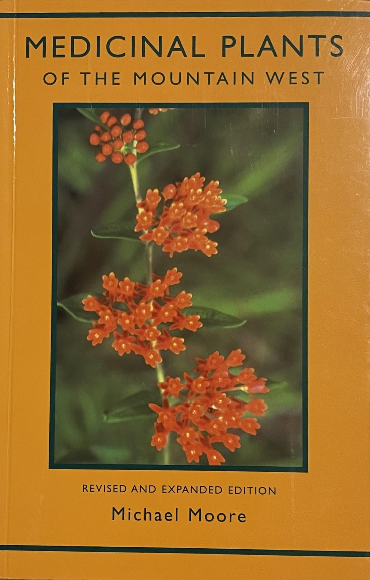 Medicinal Plants of the Mountain West
