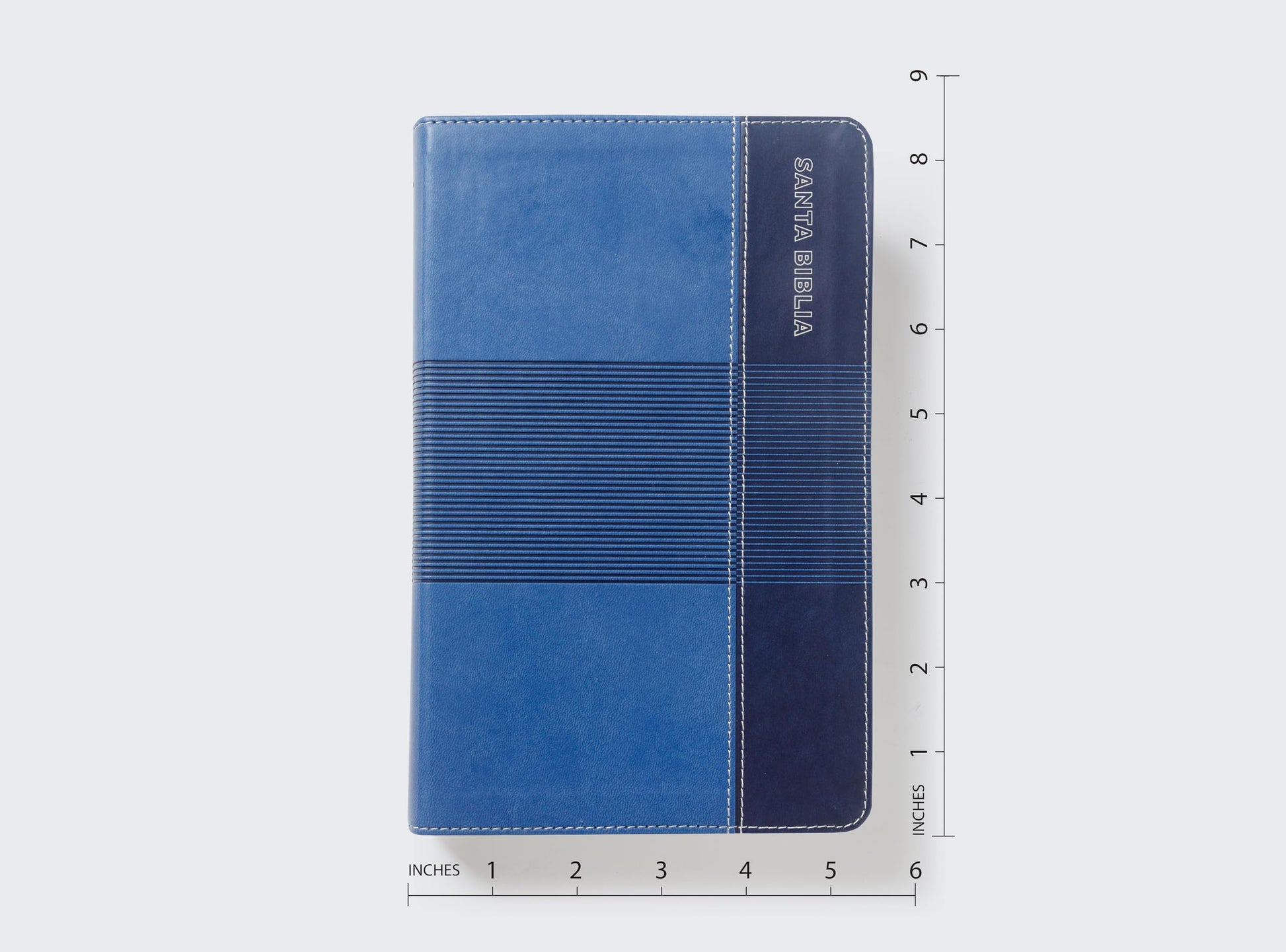 RVR60, Biblia de Estudio para Jvenes Adolescentes, Leathersoft, Azul, Palabras de Jess en Rojo, Comfort Print (Spanish Edition)