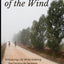 The Way of the Wind: Embracing Life While Walking the Camino de Santiago