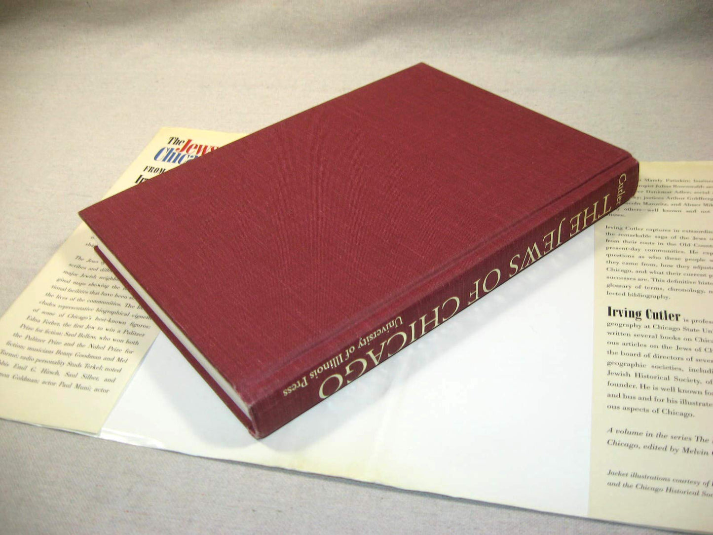 The Jews of Chicago: Fron Shtetl to Suburb (Ethnic History of Chicago)