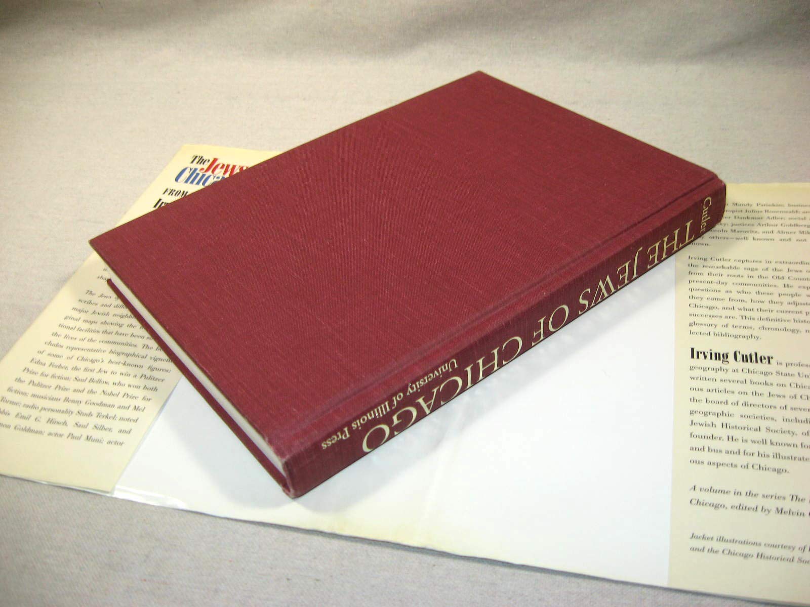 The Jews of Chicago: Fron Shtetl to Suburb (Ethnic History of Chicago)