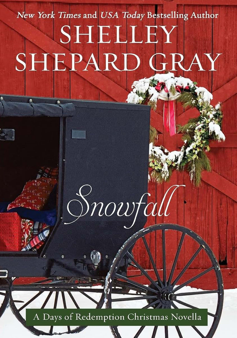 SNOWFALL (Days of Redemption, 4)