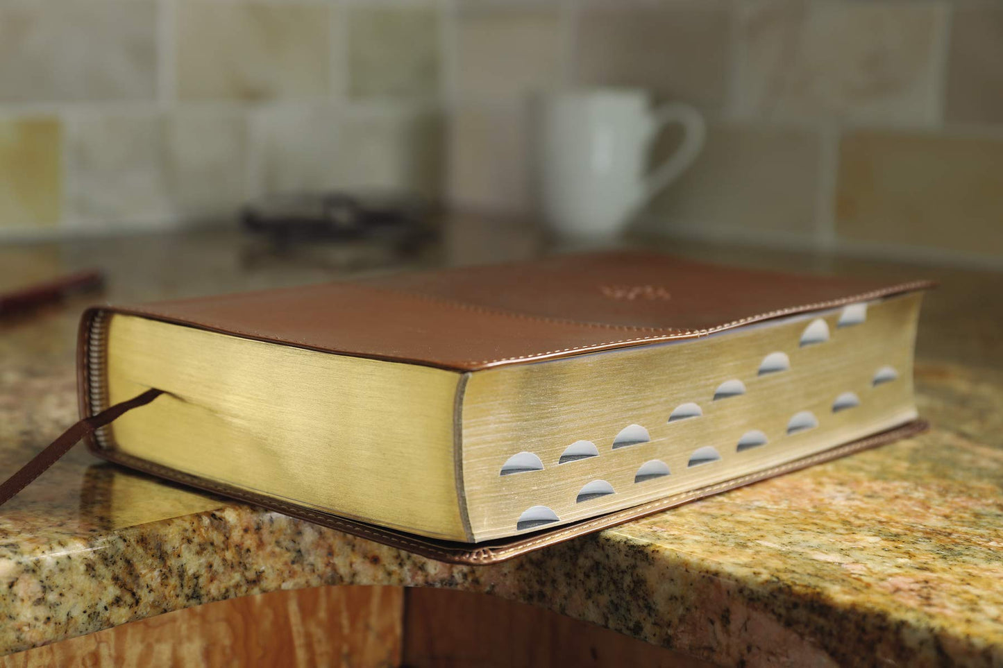 The Amplified Study Bible, Leathersoft, Brown, Thumb Indexed