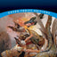 Beowulf (Dover Thrift Editions: Literary Collections)