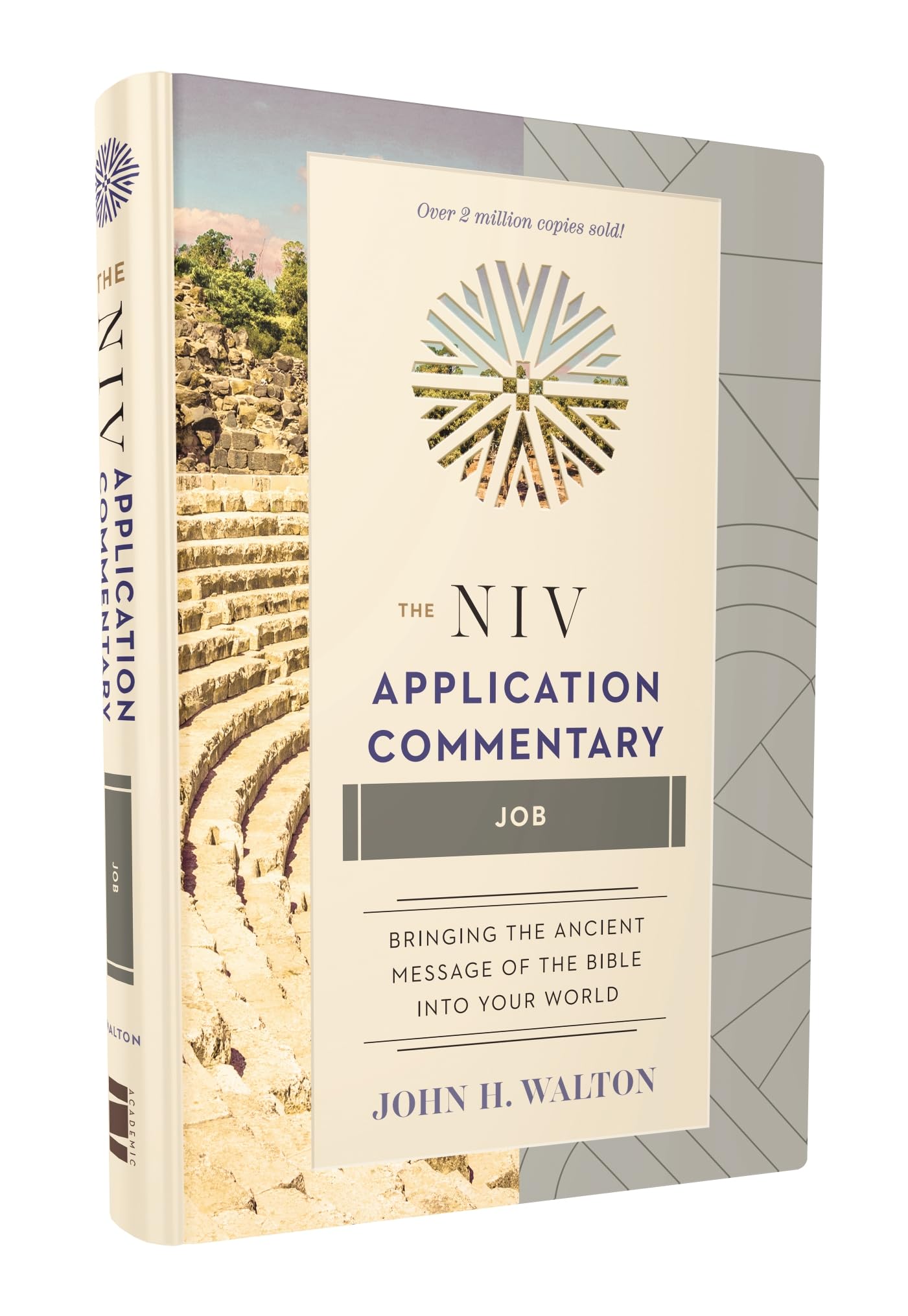 Job (The NIV Application Commentary)