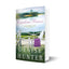 Carolina Breeze (A Bluebell Inn Romance)