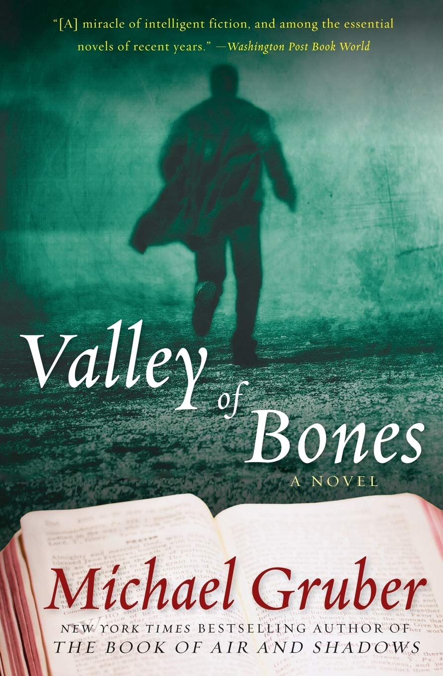 Valley of Bones: A Novel (Jimmy Paz, 2)