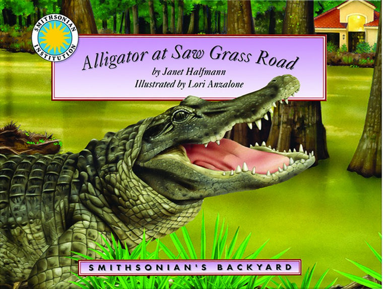 Alligator at Saw Grass Road (Smithsonian Backyard)