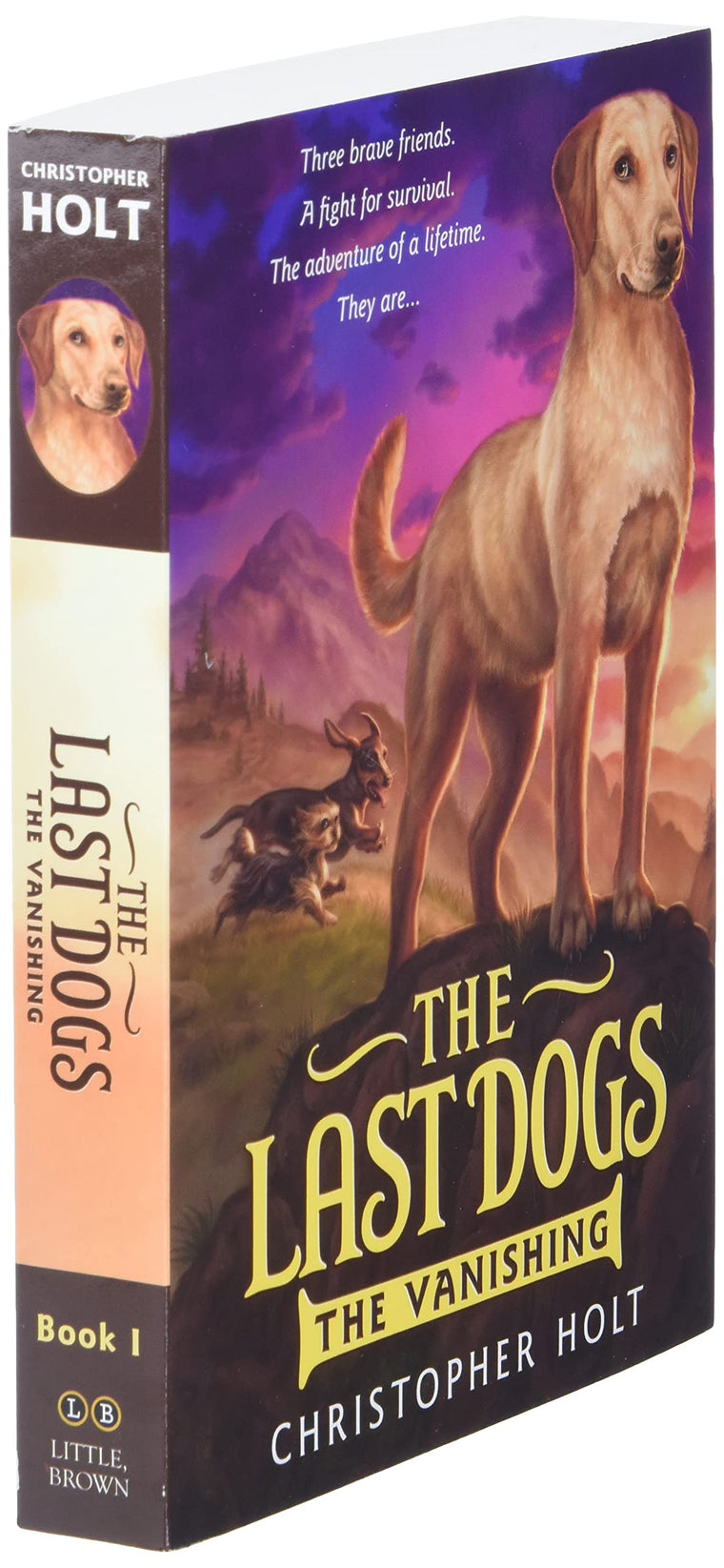 The Last Dogs: The Vanishing (The Last Dogs, 1) by Holt, Chr
