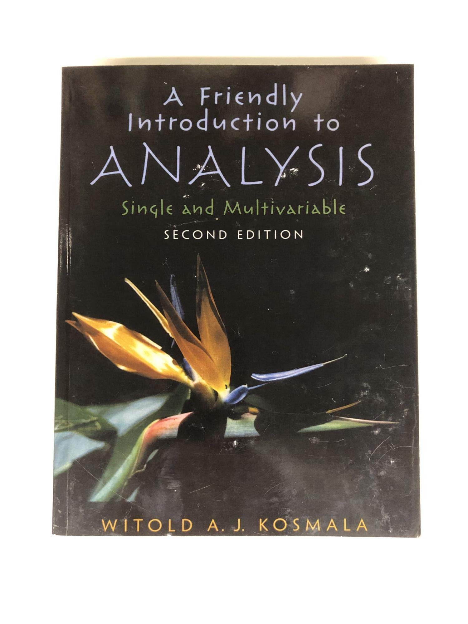 A Friendly Introduction to Analysis