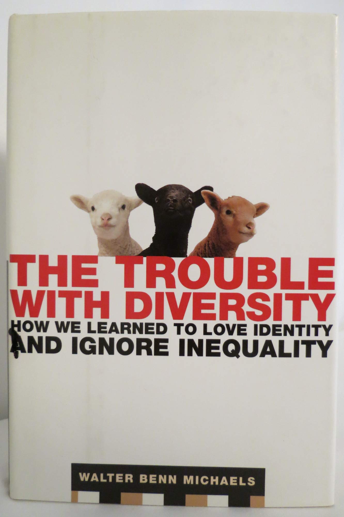The Trouble with Diversity: How We Learned to Love Identity and Ignore Inequality