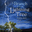 A Branch from the Lightning Tree: Ecstatic Myth and the Grac
