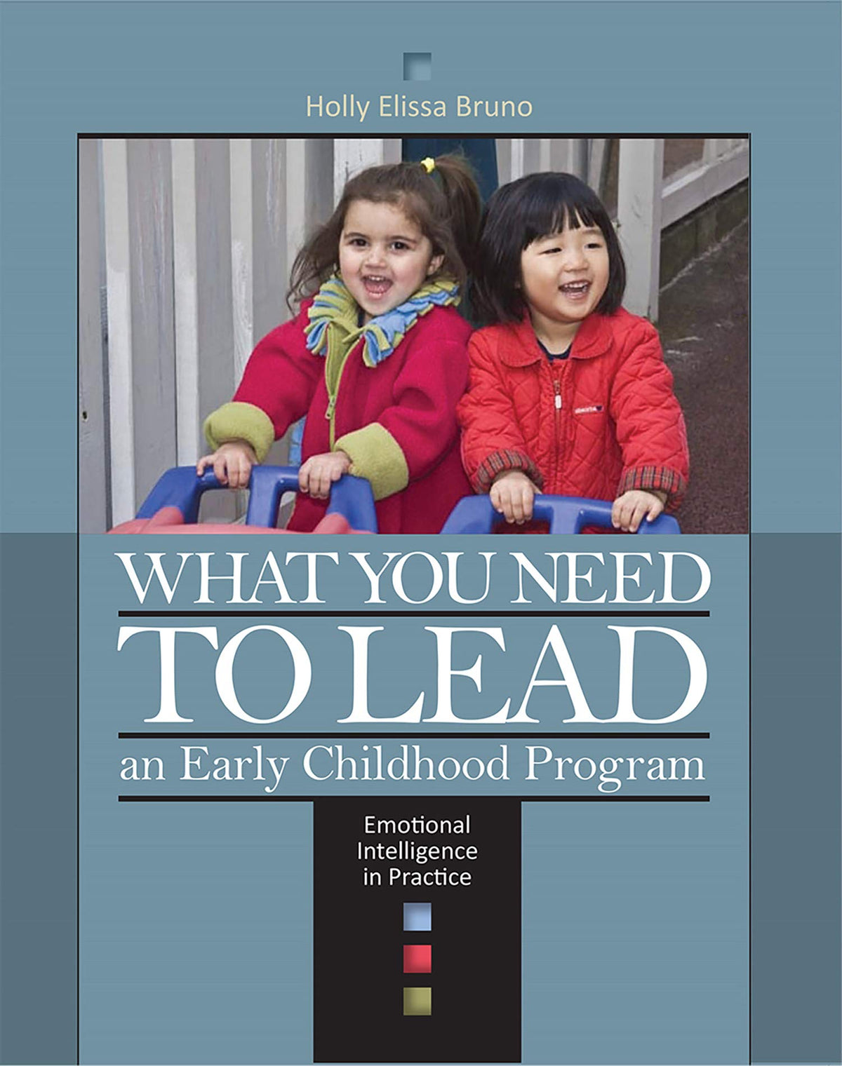 What You Need to Lead: An Early Childhood Program- Emotional Intelligence in Practice