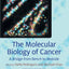 The Molecular Biology of Cancer: A Bridge from Bench to Bedside