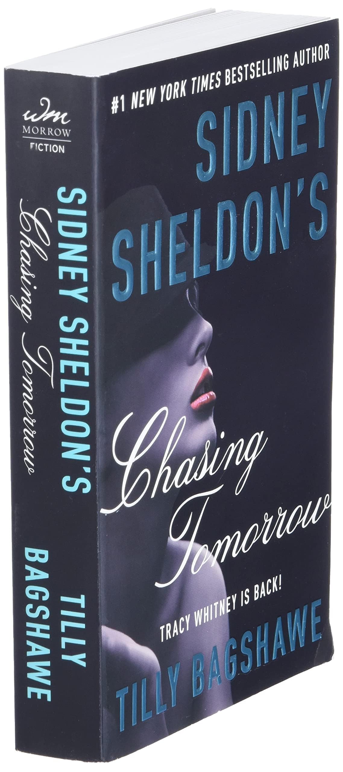Sidney Sheldon's Chasing Tomorrow