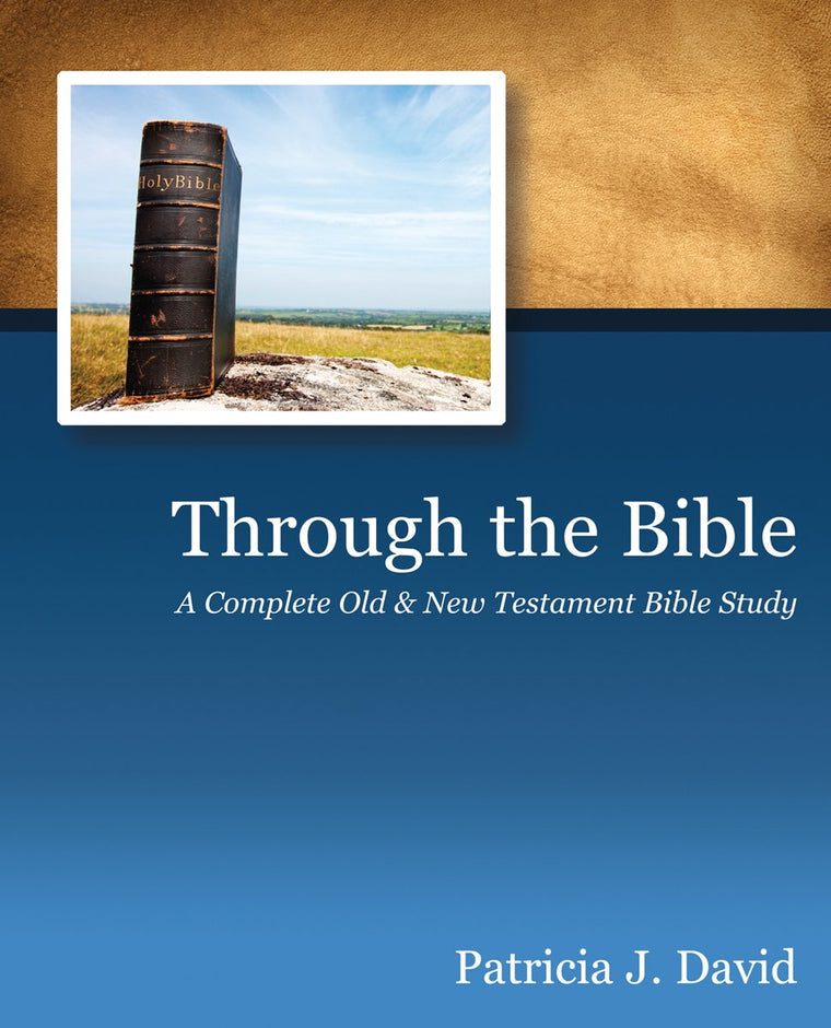 Through the Bible: A Complete Old & New Testament Bible Study