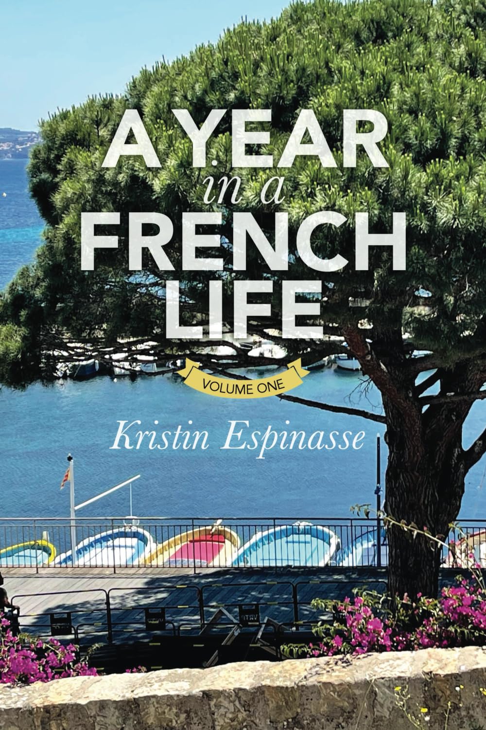 A YEAR IN A FRENCH LIFE: Volume One (FRENCH WORD-A-DAY COLLECTED STORIES)