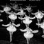 School of Classical Dance