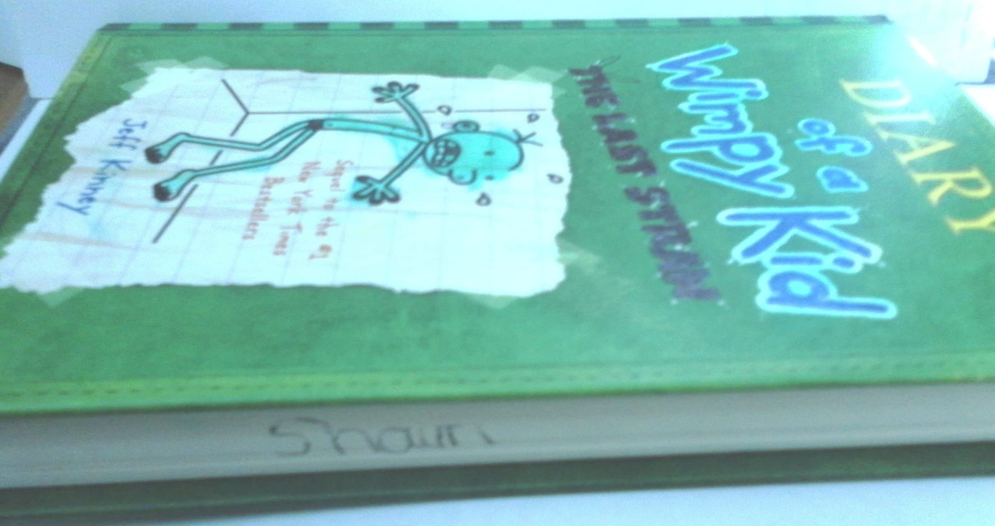 Diary of a Wimpy Kid: The Last Straw (Book 3)