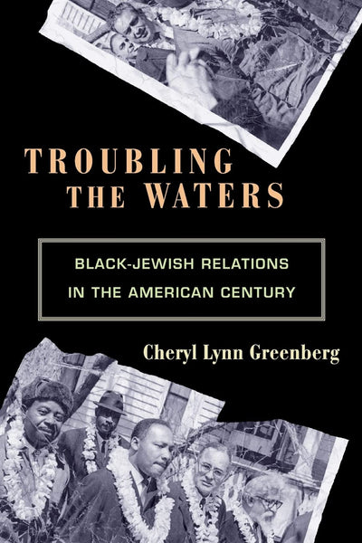Troubling the Waters: Black-Jewish Relations in the American Century (Politics and Society in Modern America)