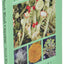 Lichens of the North Woods (Naturalist Series)