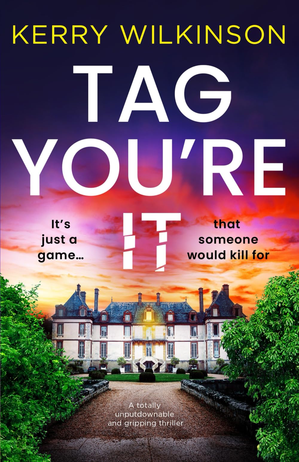 Tag, You're It: A totally unputdownable and gripping thriller