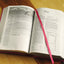 NIV, Women's Devotional Bible, Leathersoft, Pink
