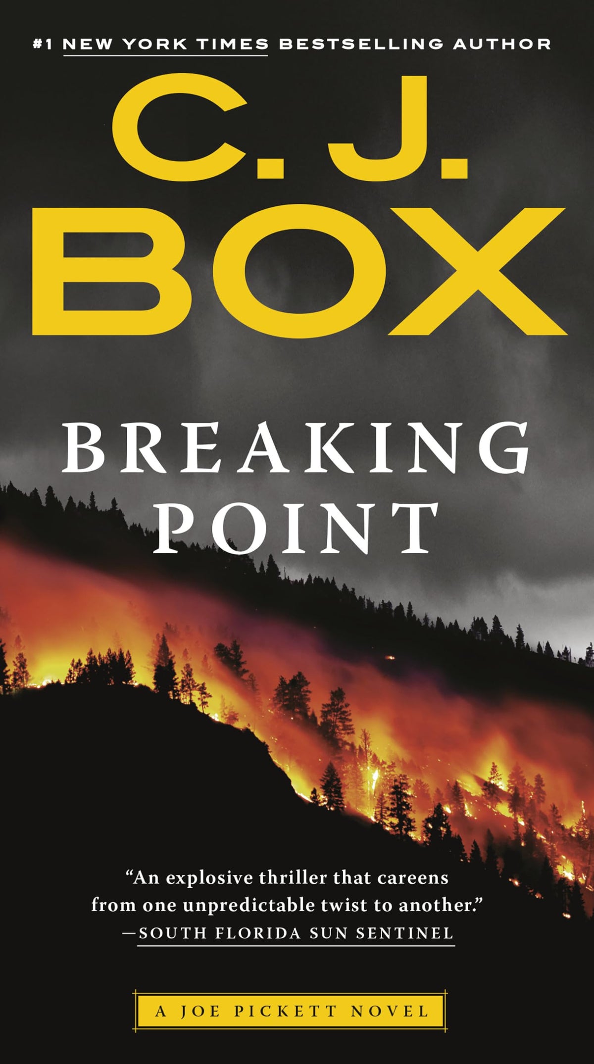 Breaking Point (A Joe Pickett Novel)
