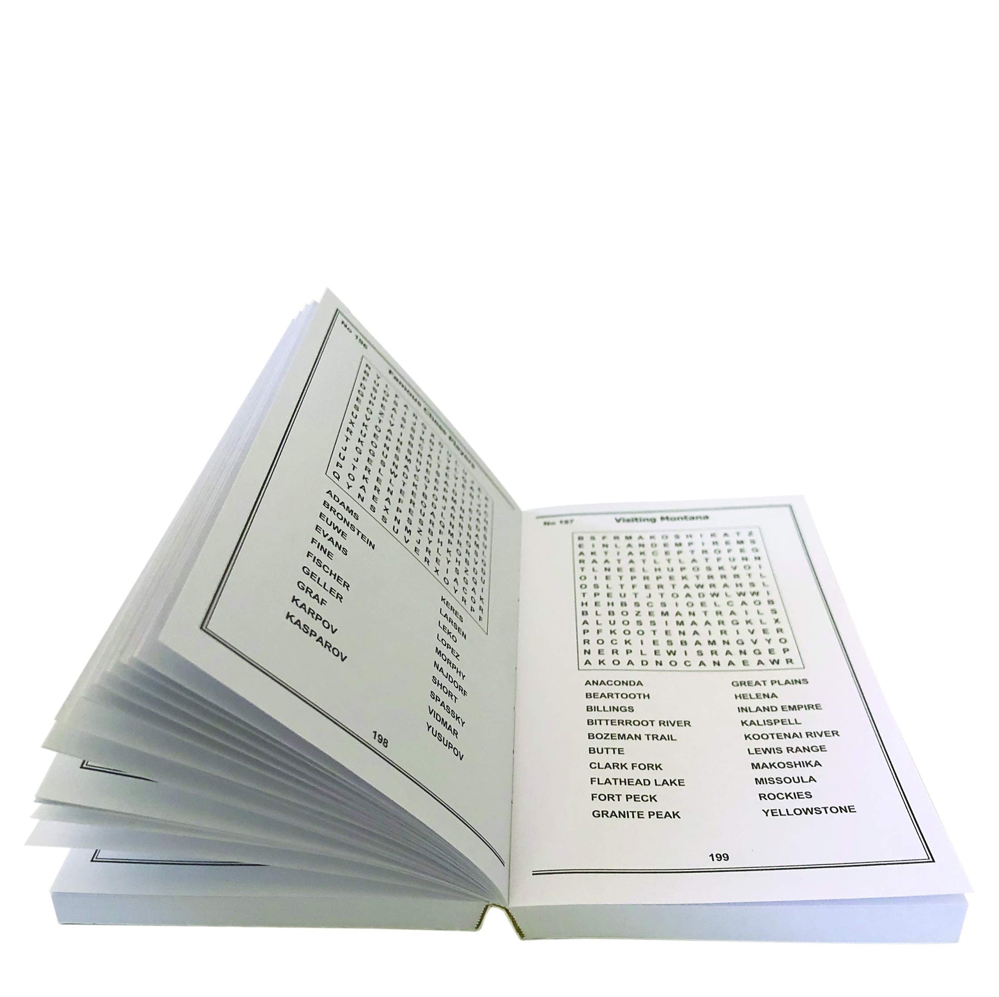 Extreme Word Search: With 300 Puzzles (Brain Busters)