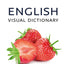 English Visual Dictionary