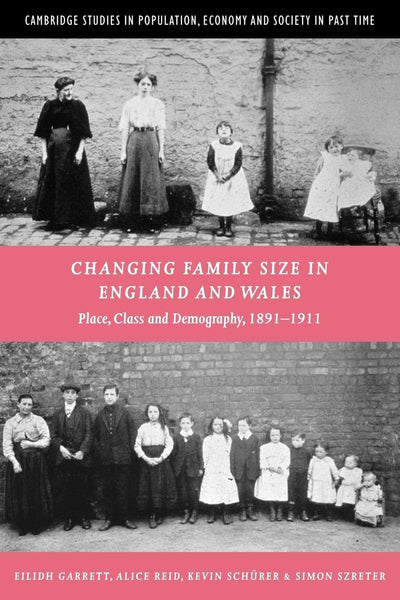Changing Family Size in England and Wales: Place, Class and Demography, 1891-1911 (Cambridge Studies in Population, Economy and Society in Past Time, Series Number 36)
