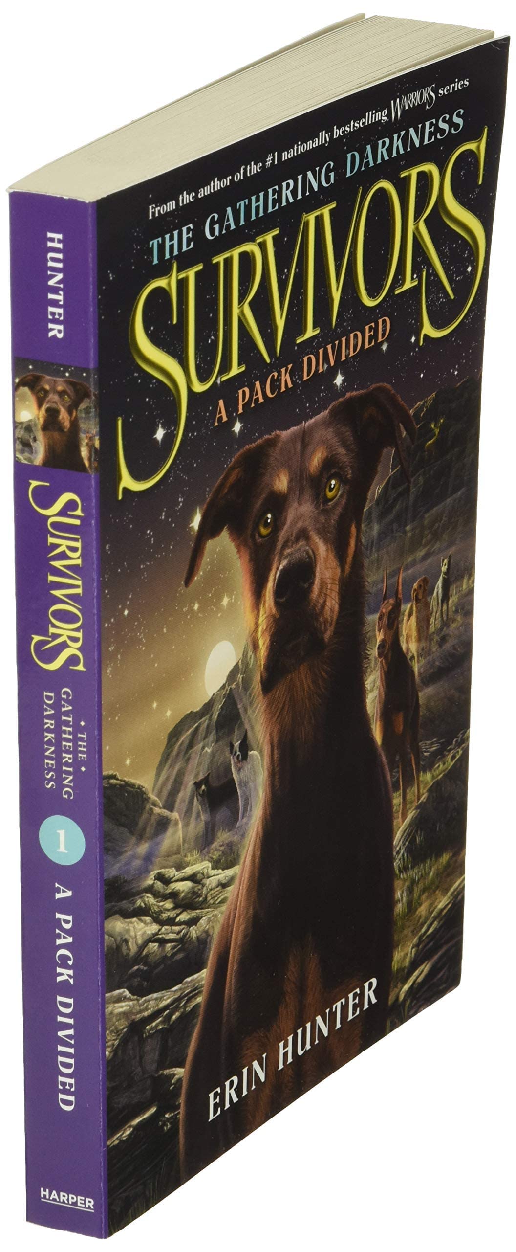 Survivors: The Gathering Darkness #1: A Pack Divided