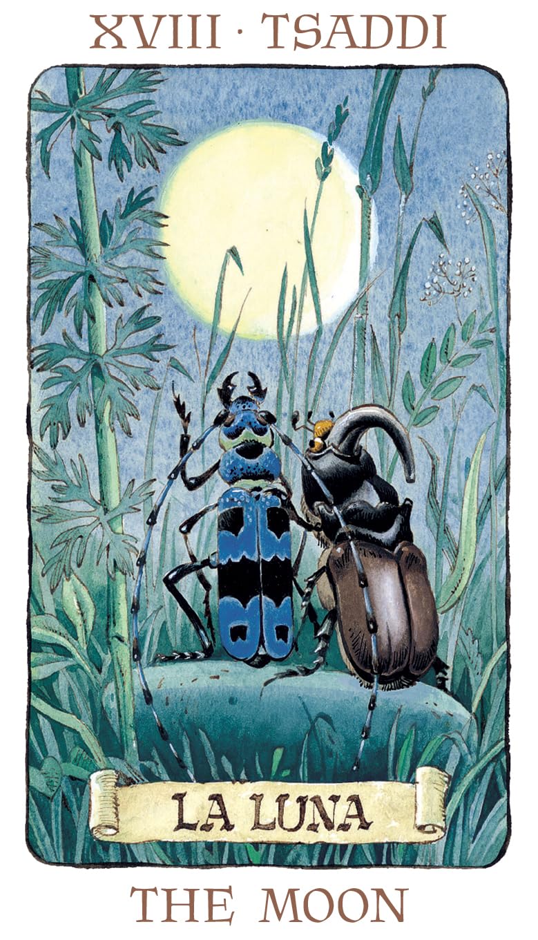 Tarot of the Gnomes