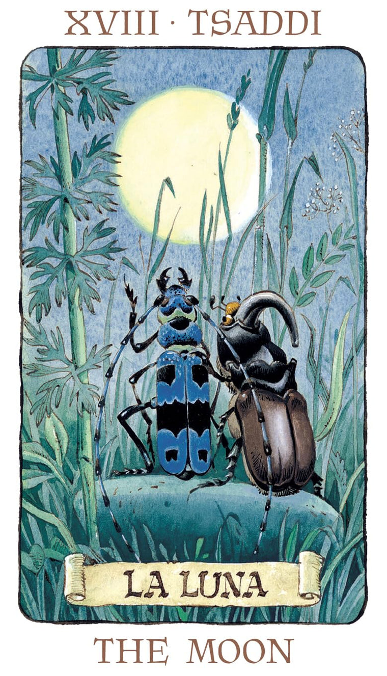Tarot of the Gnomes — back cover